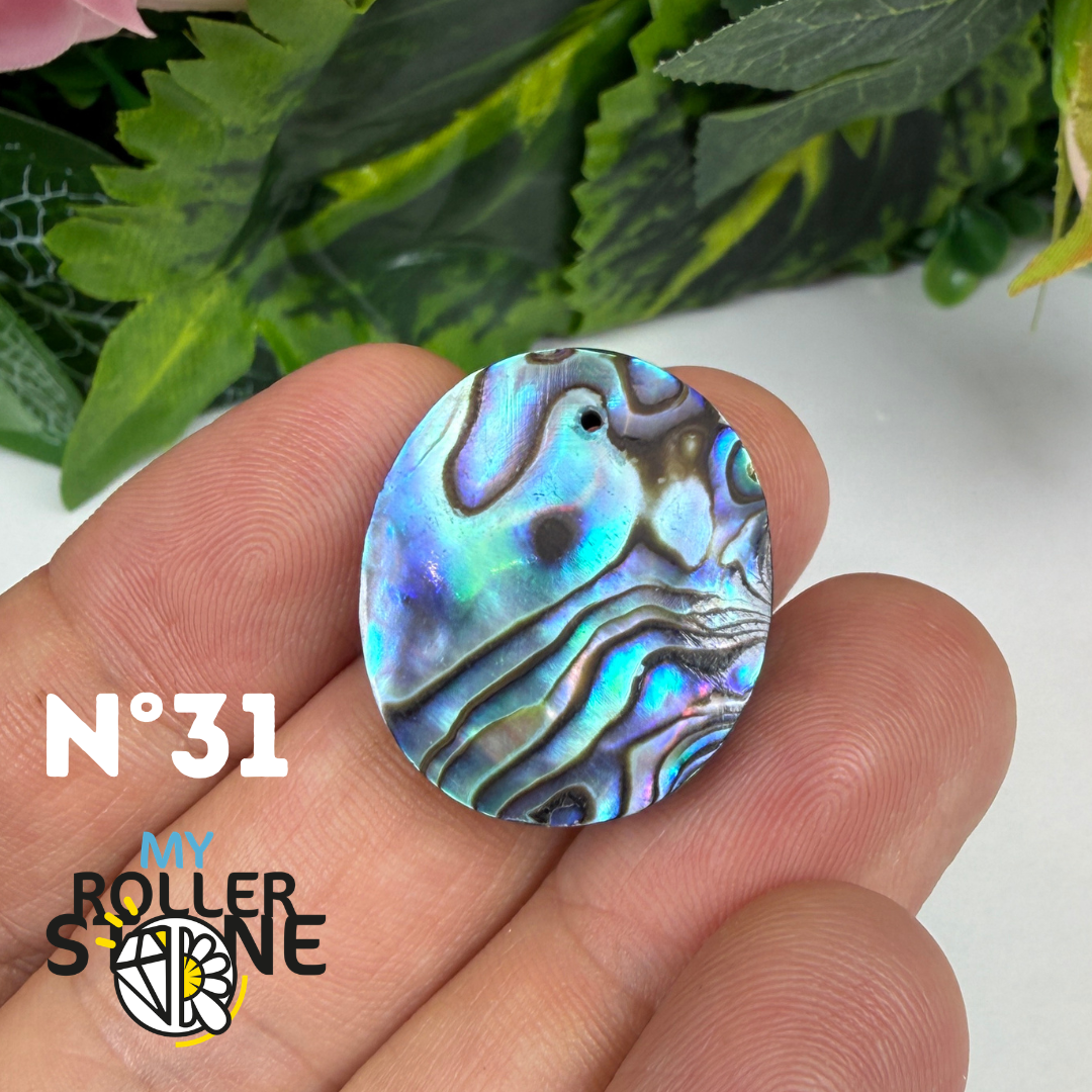 Pendentif en Abalone Forme Libre 5A