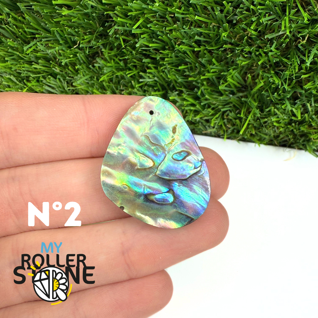 Pendentif en Abalone Forme Libre 5A