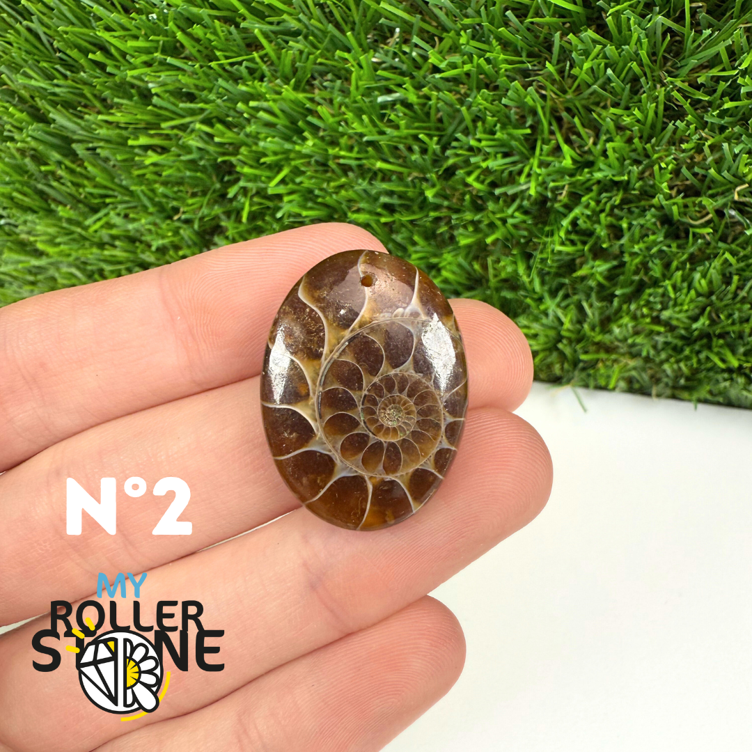 Pendentif Ammonite 5A Percé