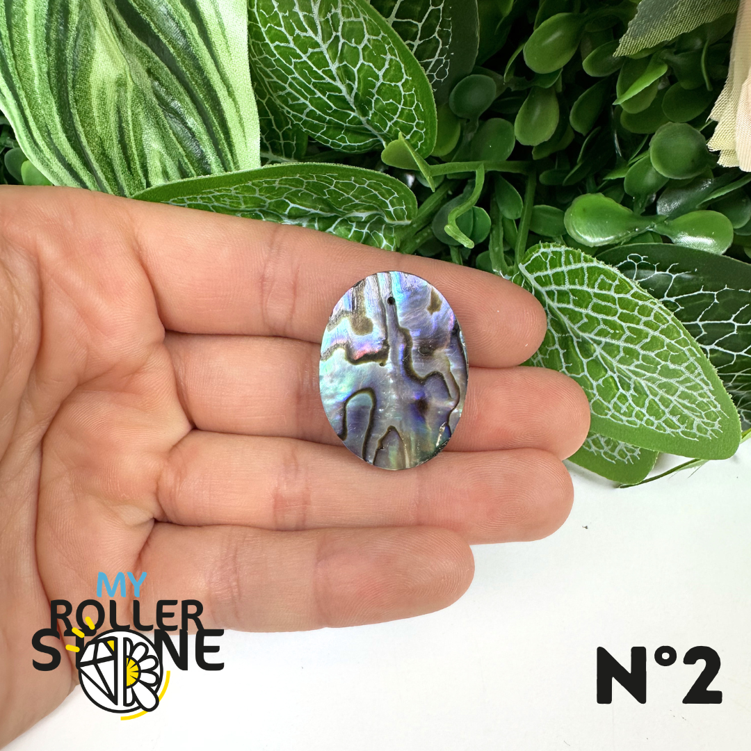 Pendentif en Abalone Forme Libre 5A