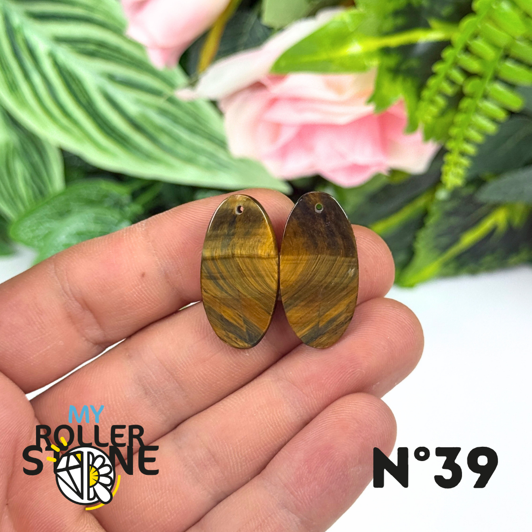 Paire de Cabochon percé en Oeil de Faucon pour Boucles d'oreilles