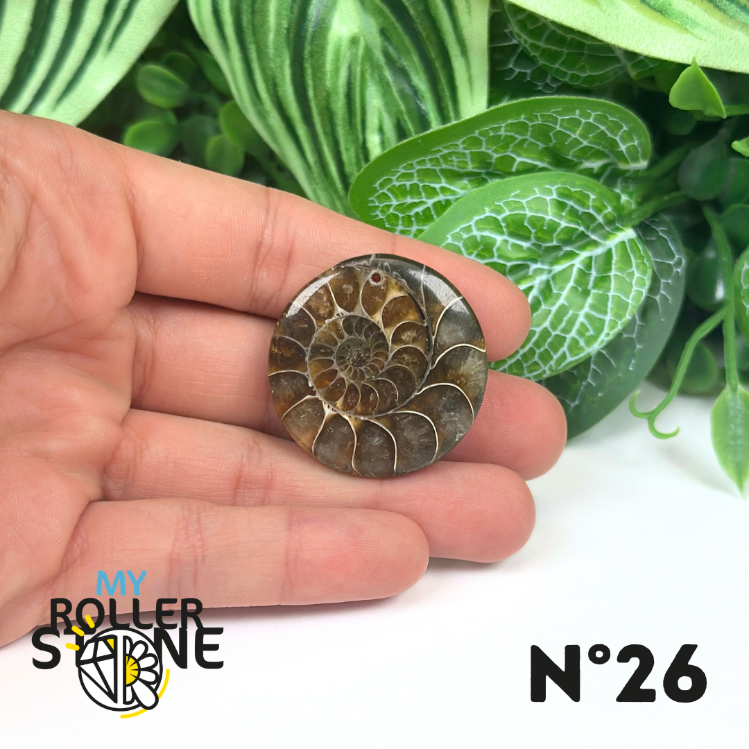 Pendentif Ammonite Percé