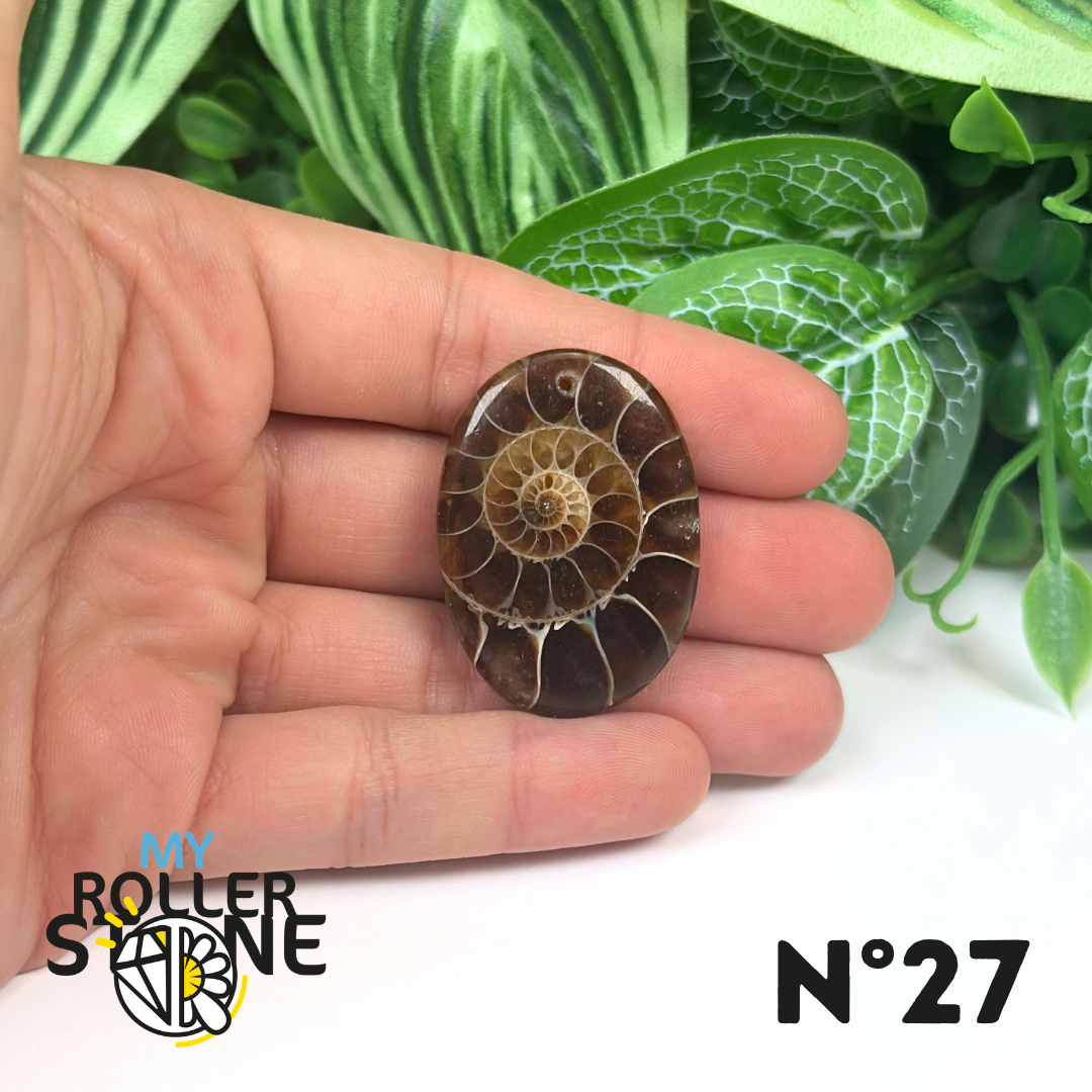 Pendentif Ammonite Percé