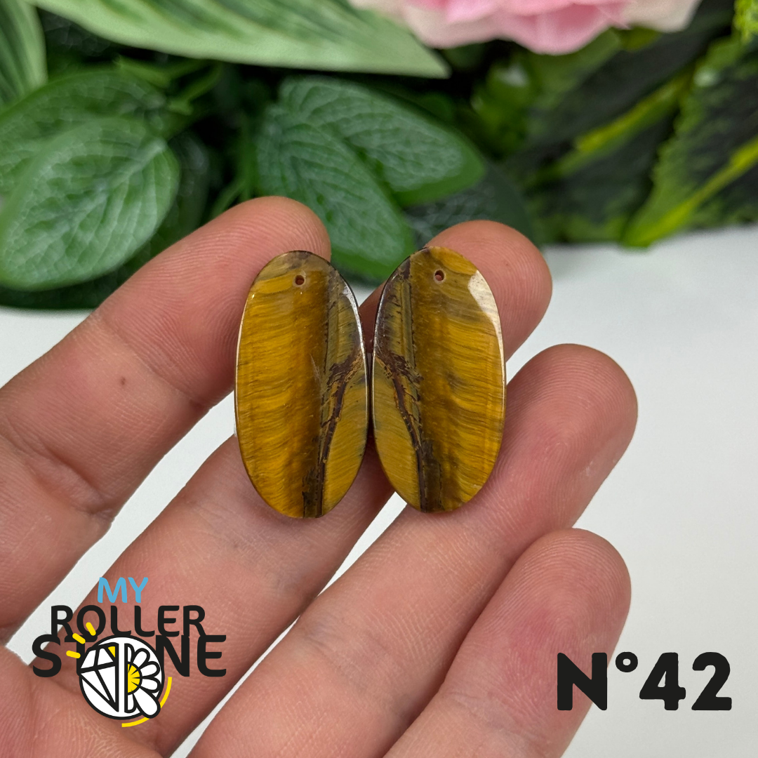 Paire de Cabochon percé en Oeil de Faucon pour Boucles d'oreilles
