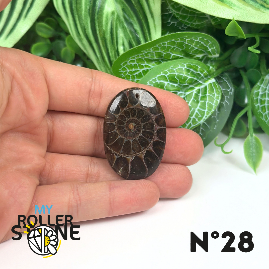 Pendentif Ammonite Percé