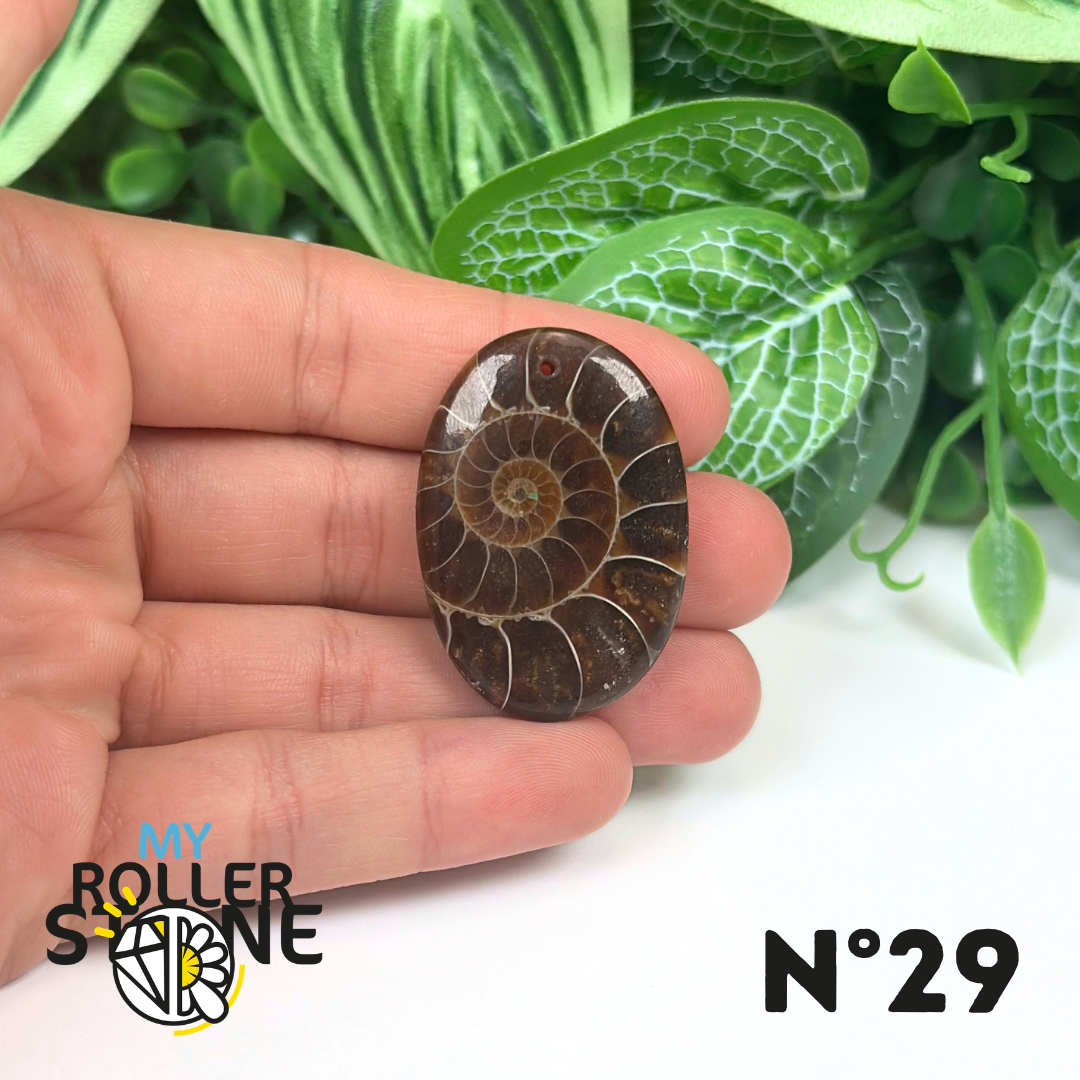 Pendentif Ammonite Percé
