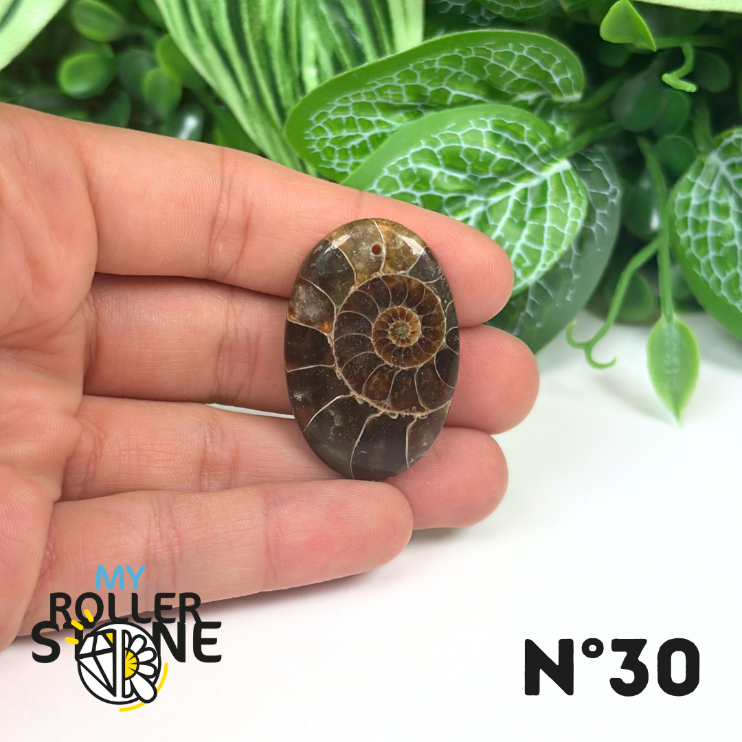 Pendentif Ammonite Percé