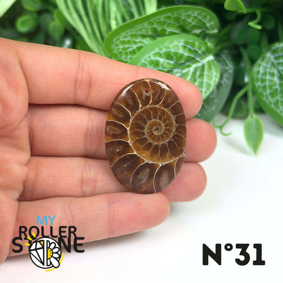 Pendentif Ammonite Percé