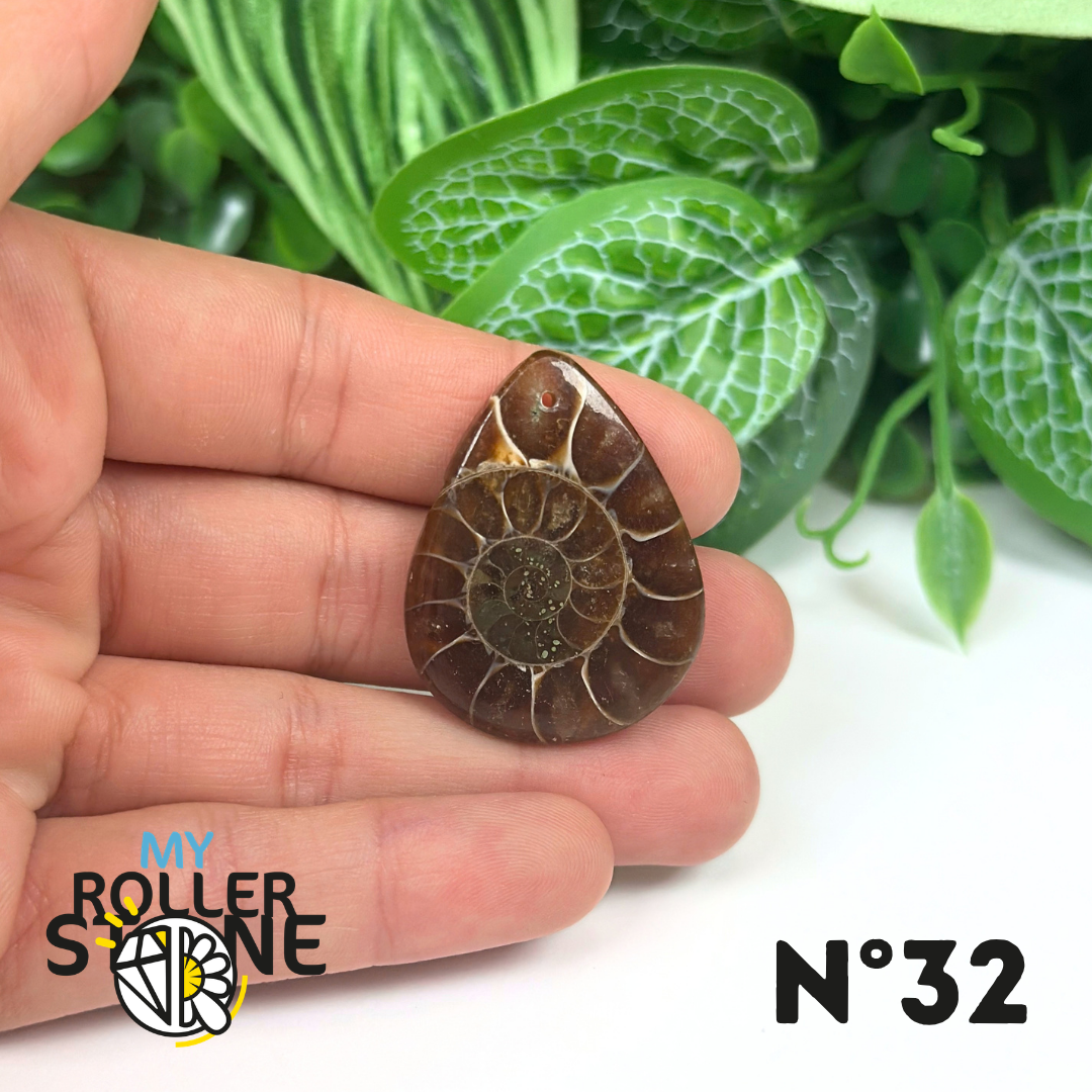 Pendentif Ammonite Percé