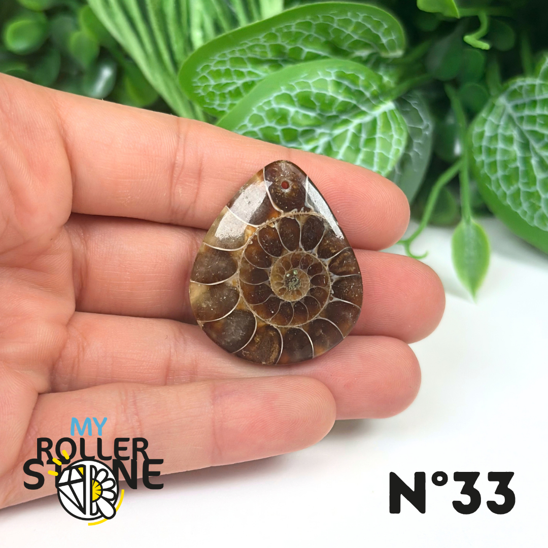 Pendentif Ammonite Percé