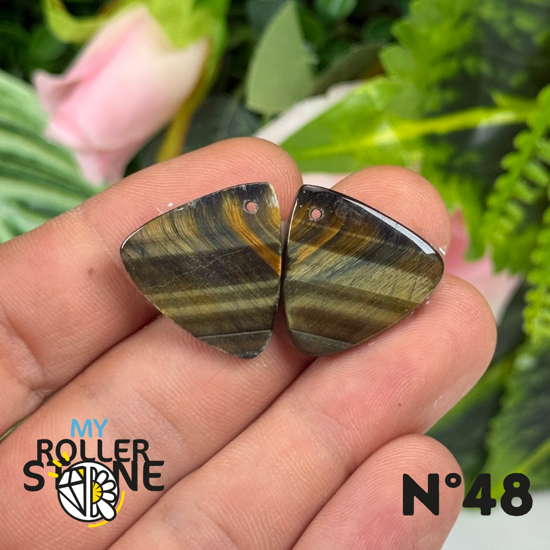 Paire de Cabochon percé en Oeil de Faucon pour Boucles d'oreilles