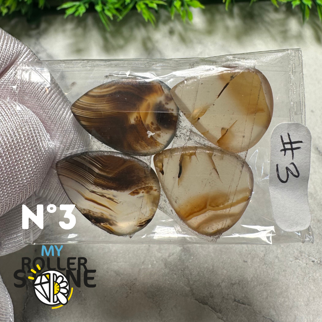 Paire de cabochons Agate Montana forme libre