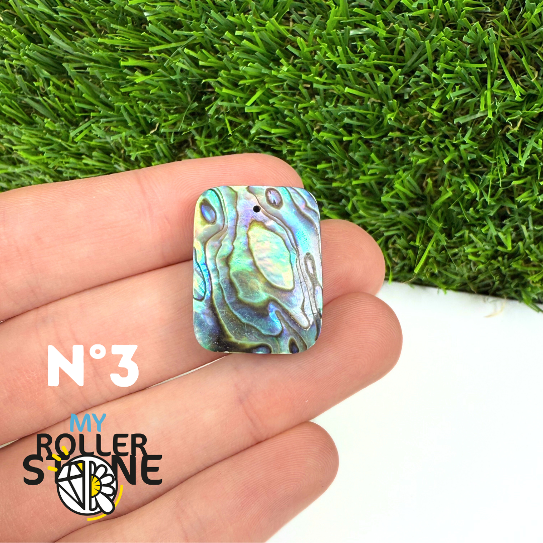 Pendentif en Abalone Forme Libre 5A