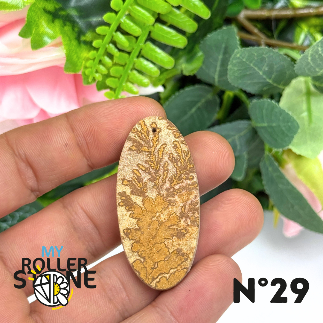Pendentif Fossile Dendritique 5A Percé