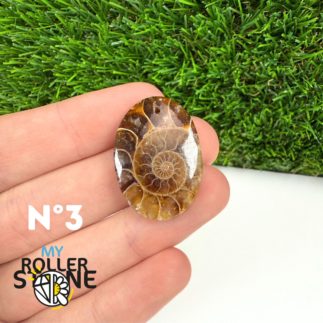 Pendentif Ammonite 5A Percé