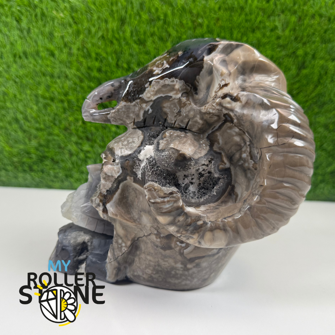 Sculpture en Agate Volcanique en forme de Crane et corne de Bouc