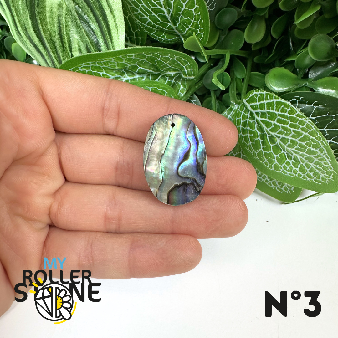 Pendentif en Abalone Forme Libre 5A