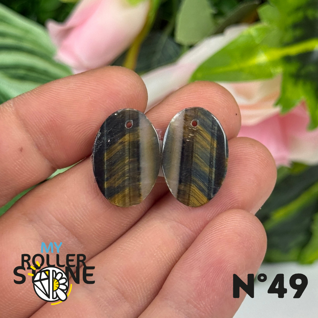 Paire de Cabochon percé en Oeil de Faucon pour Boucles d'oreilles