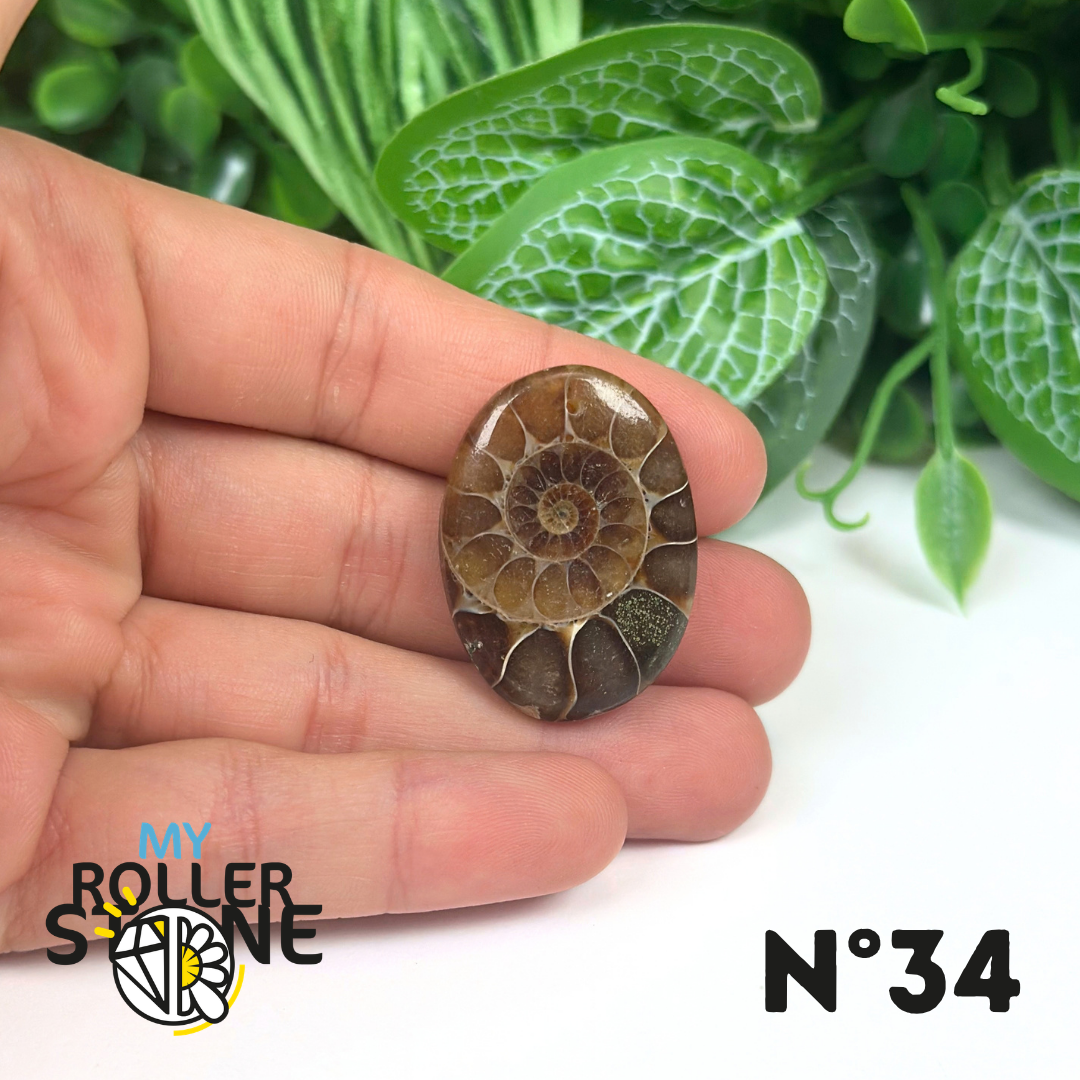 Pendentif Ammonite Percé