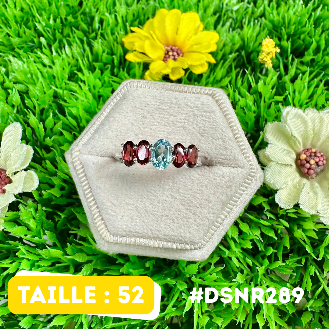 Bague Design Grenat  et Aigue-Marine en Argent 925 #DSNR289