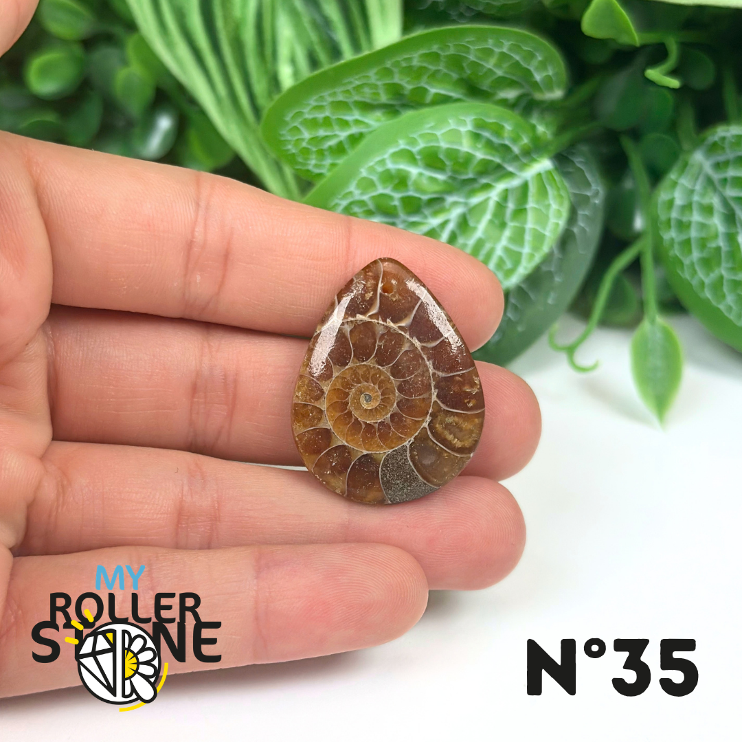 Pendentif Ammonite Percé