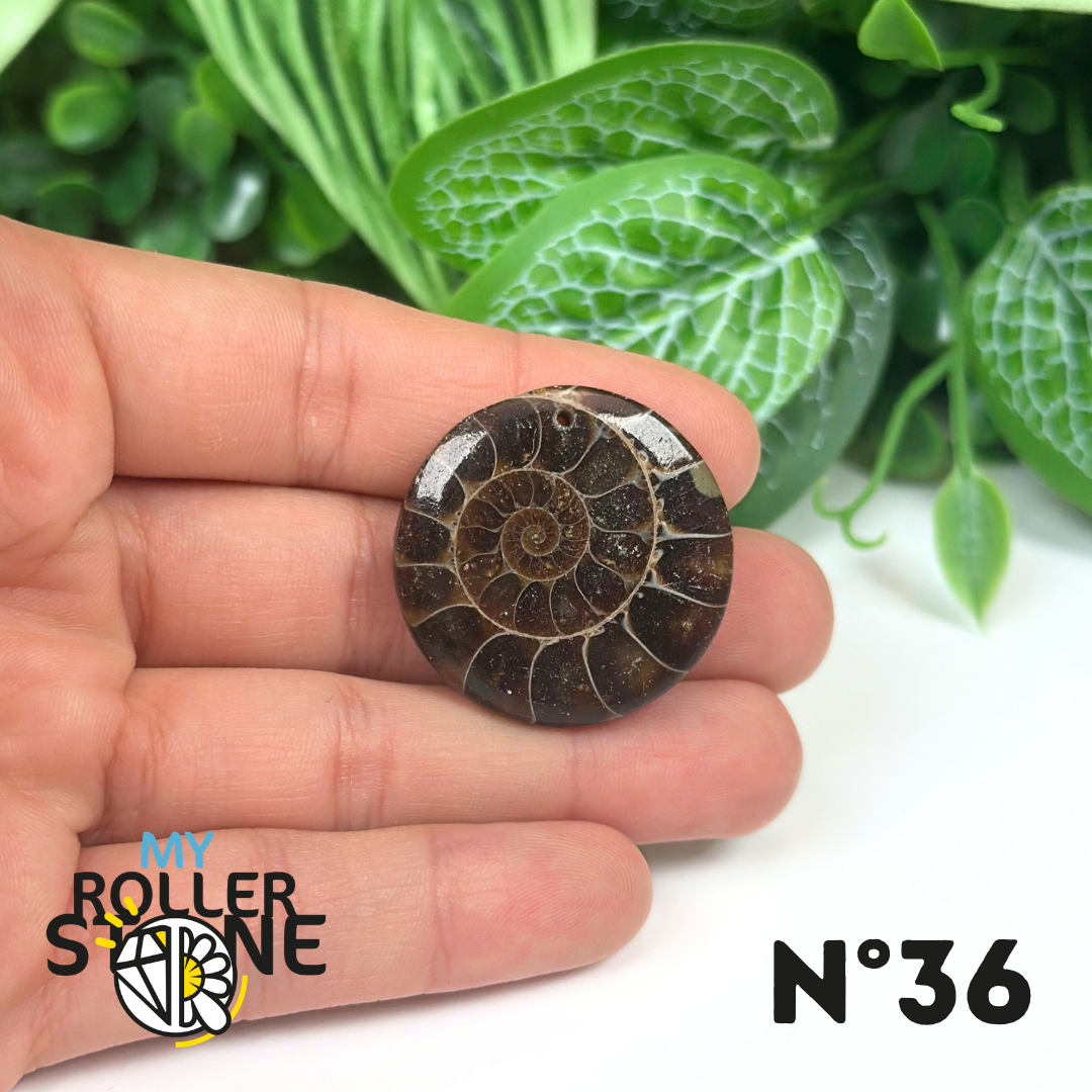 Pendentif Ammonite Percé