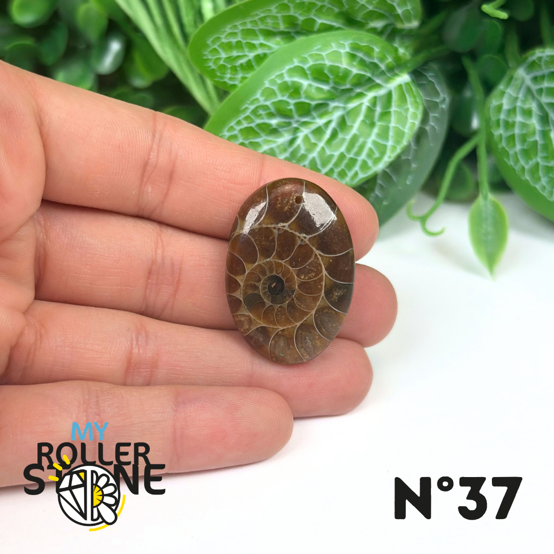 Pendentif Ammonite Percé