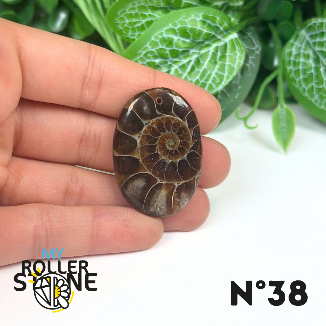 Pendentif Ammonite Percé