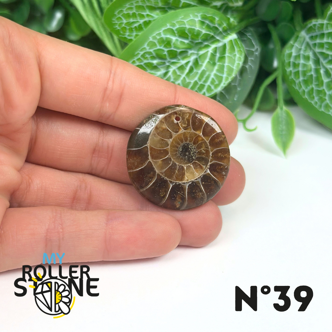 Pendentif Ammonite Percé