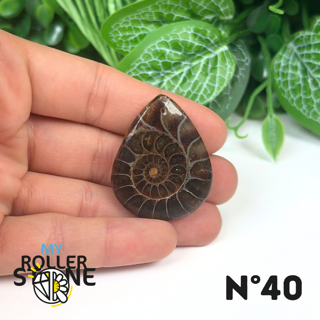 Pendentif Ammonite Percé