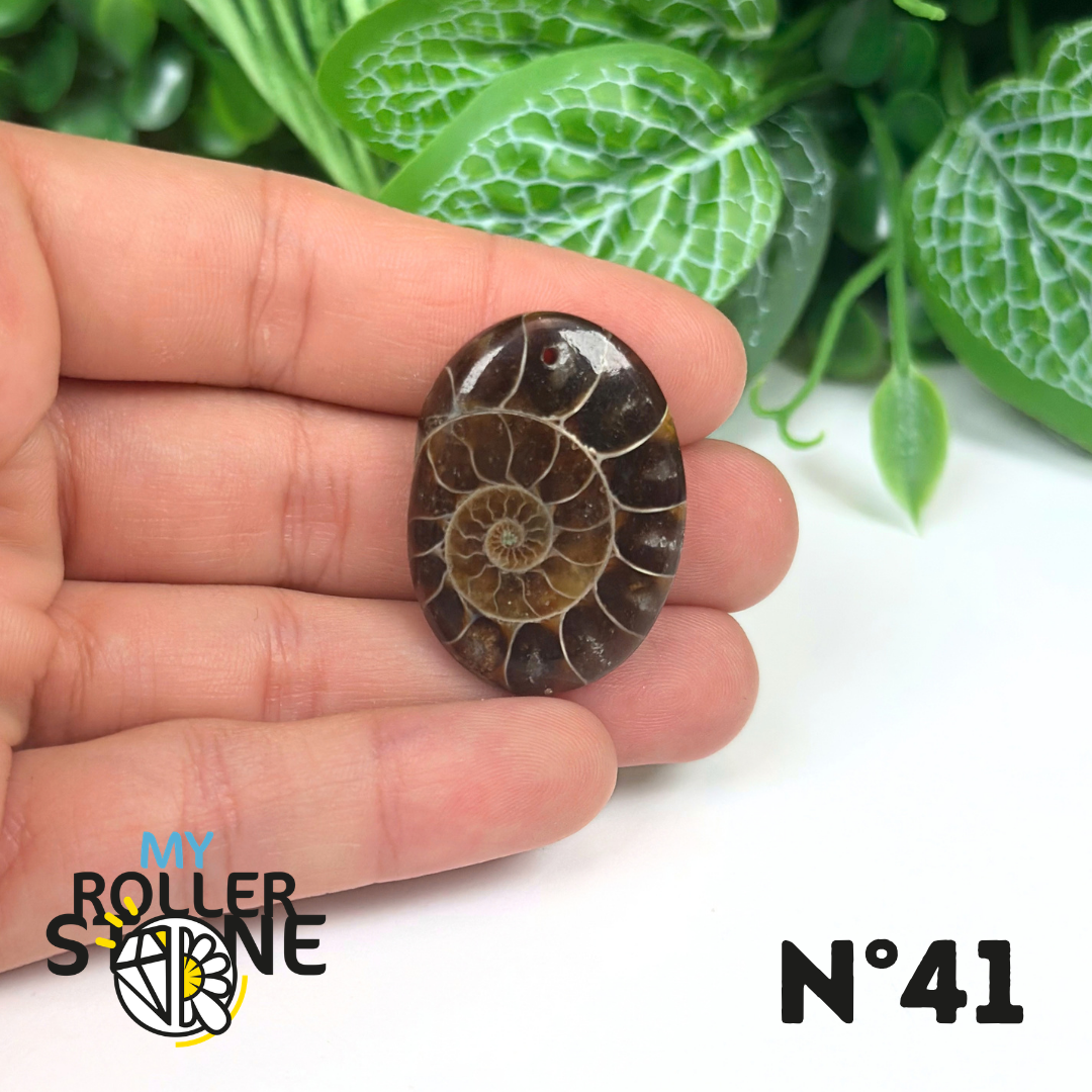 Pendentif Ammonite Percé