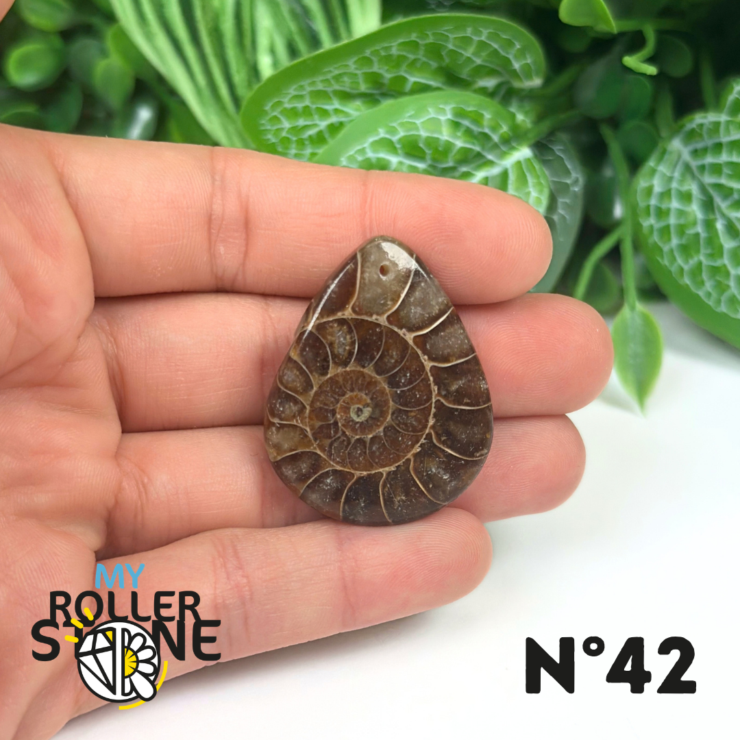 Pendentif Ammonite Percé