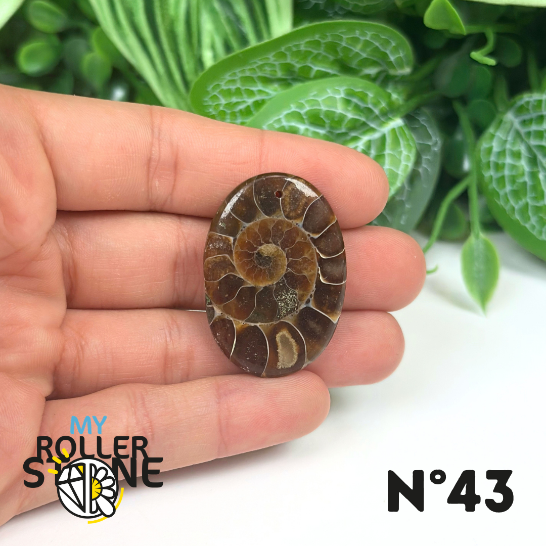 Pendentif Ammonite Percé