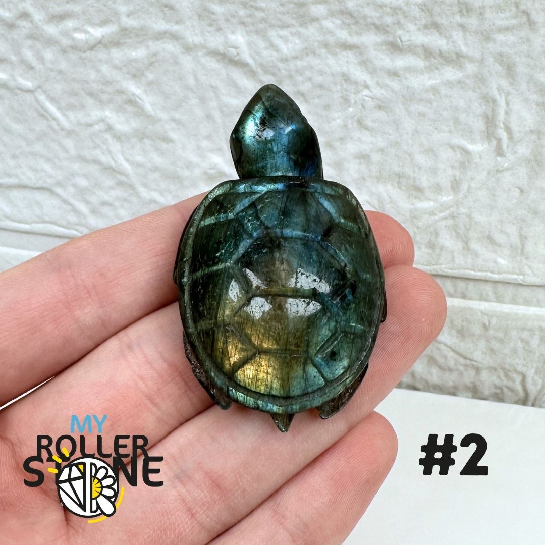 Tortue en Labradorite 2