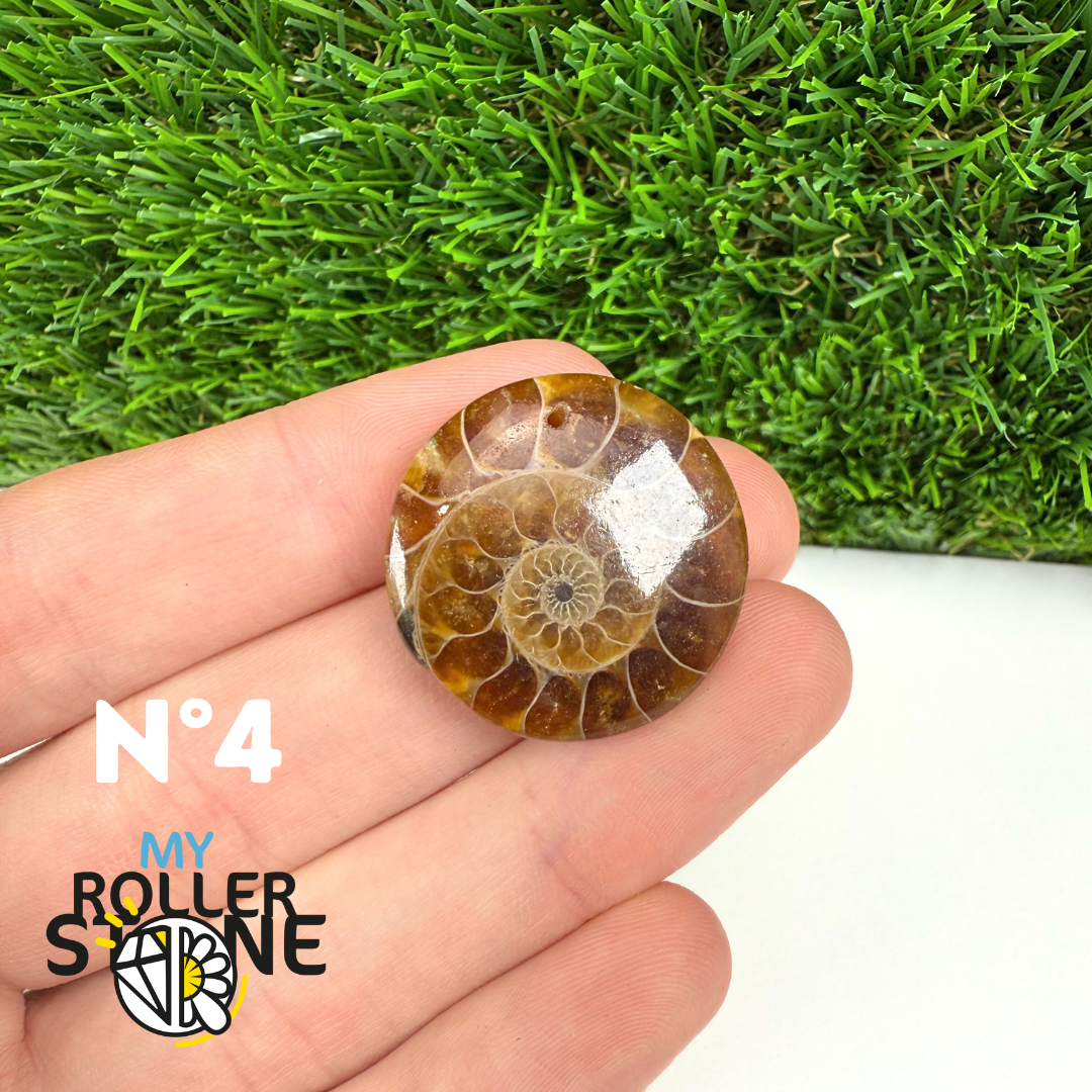 Pendentif Ammonite 5A Percé