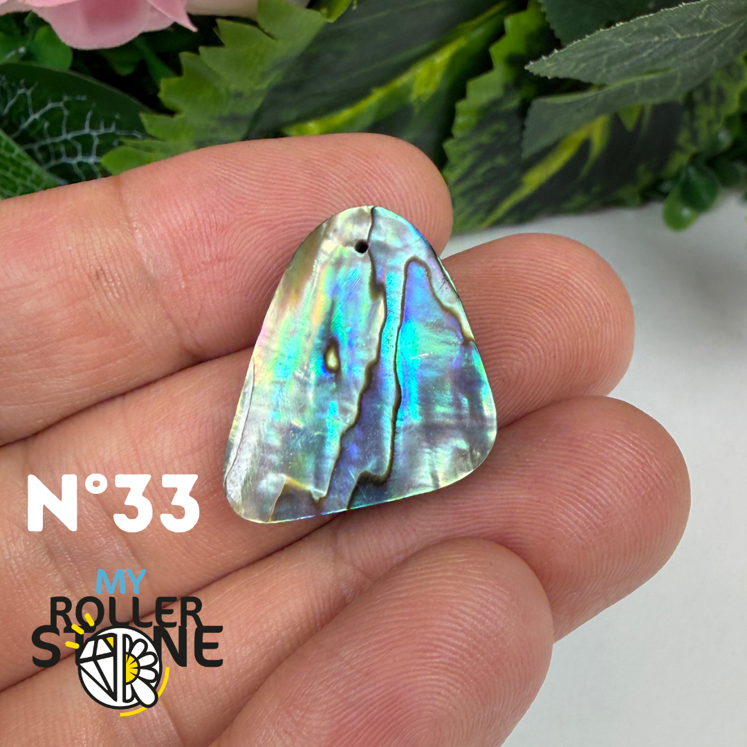 Pendentif en Abalone Forme Libre 5A