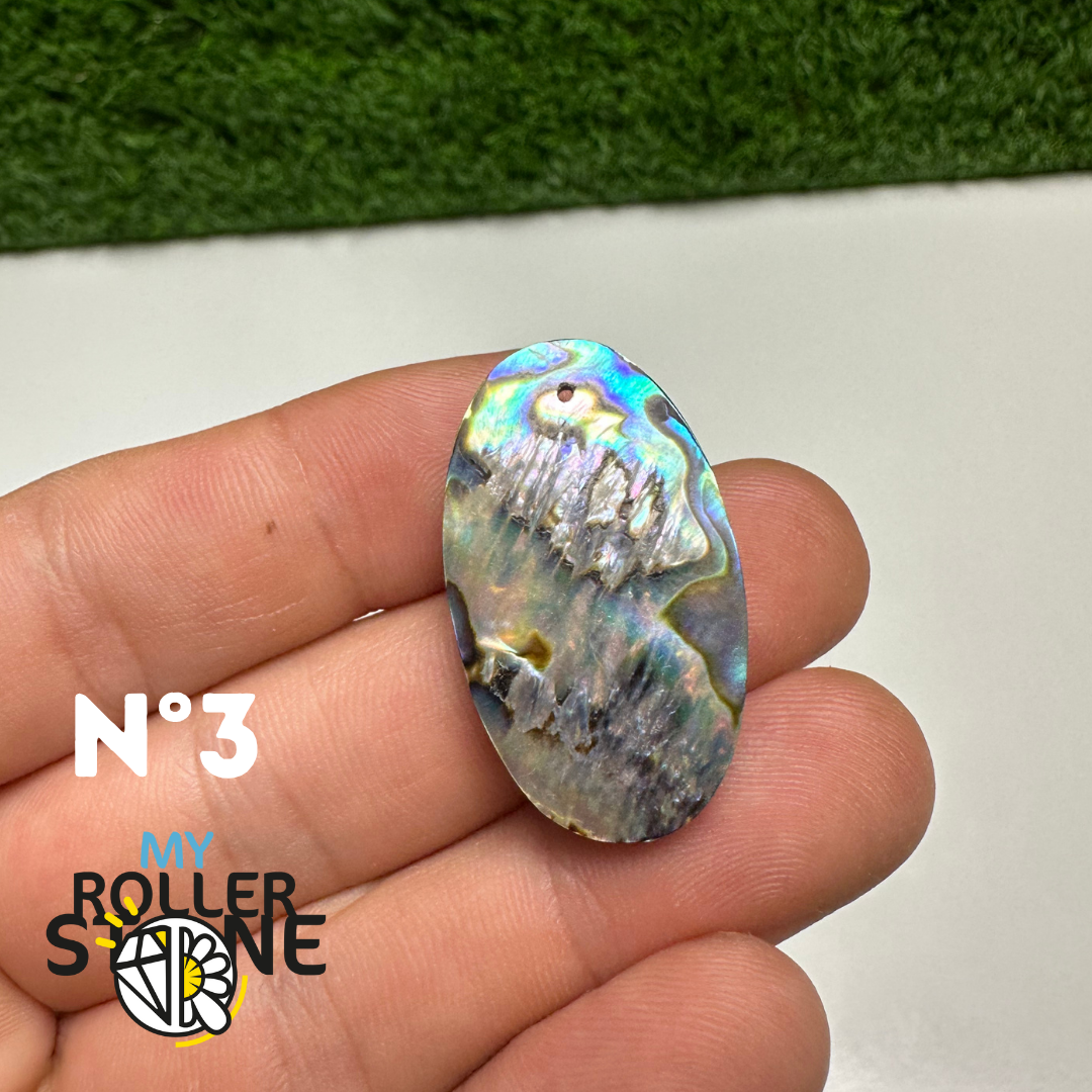 Pendentifs en Abalone Forme Libre 5A