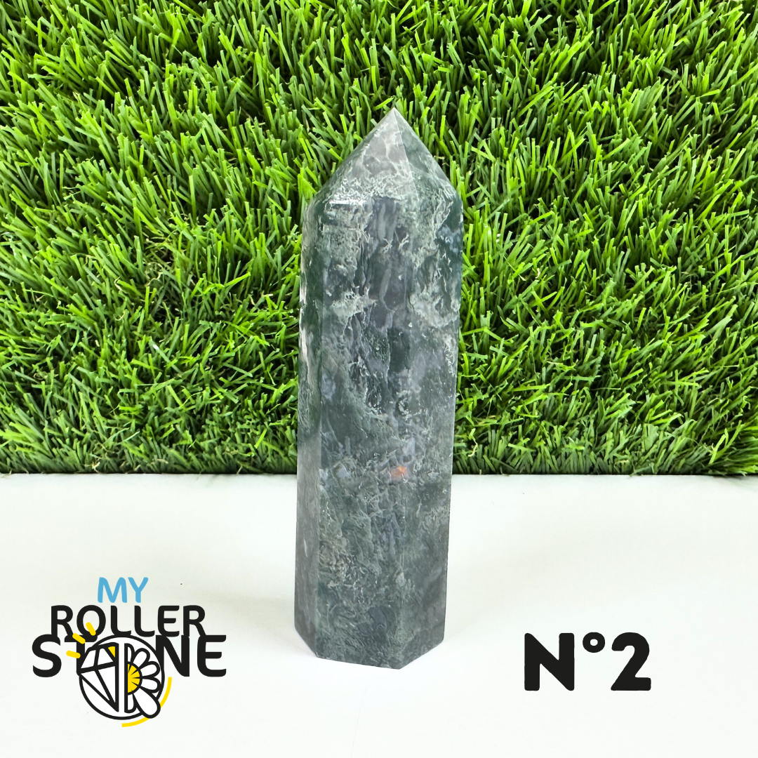 Pointe Pierre Agate Arbre