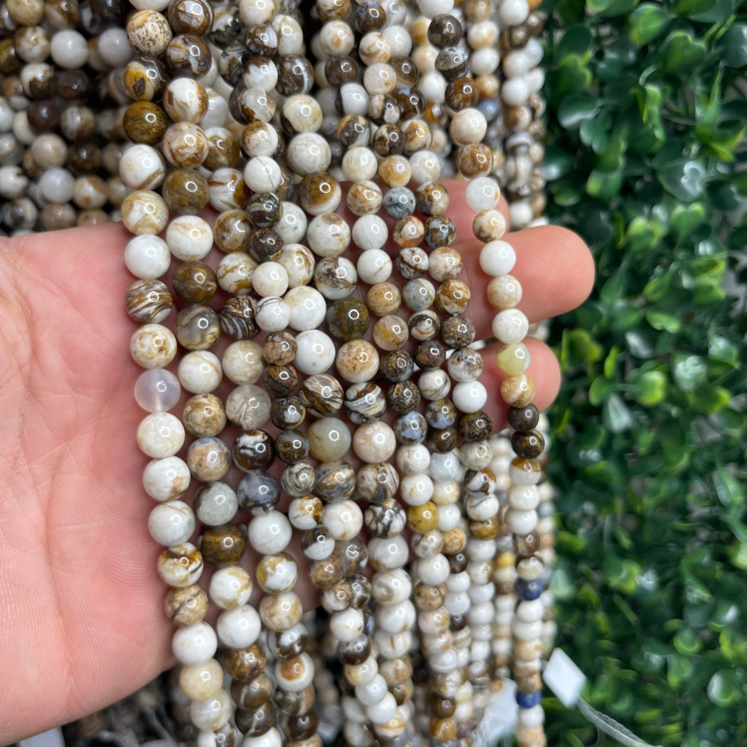 Perle bois pétrifié (Amérique du nord)
