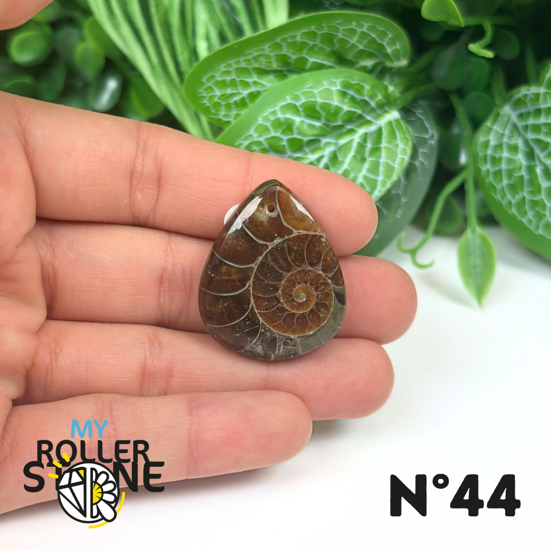 Pendentif Ammonite Percé