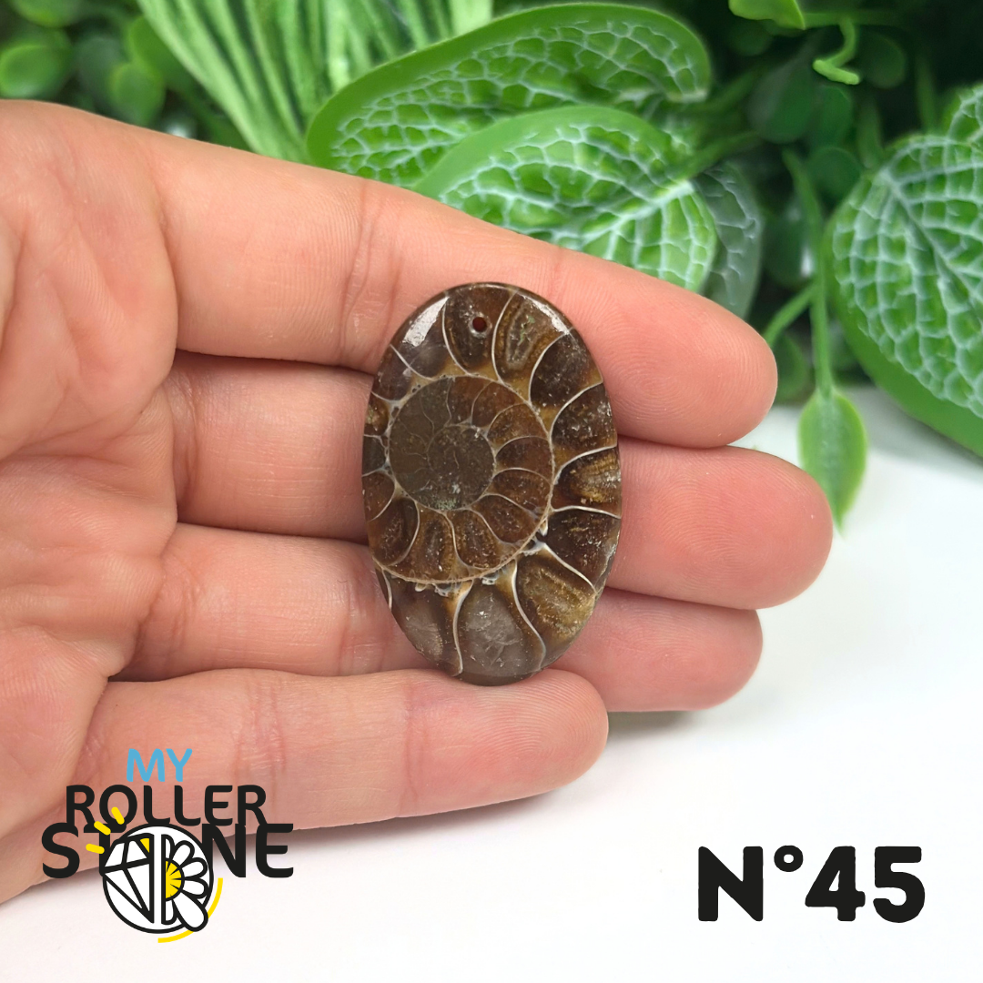 Pendentif Ammonite Percé