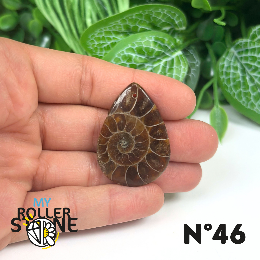 Pendentif Ammonite Percé