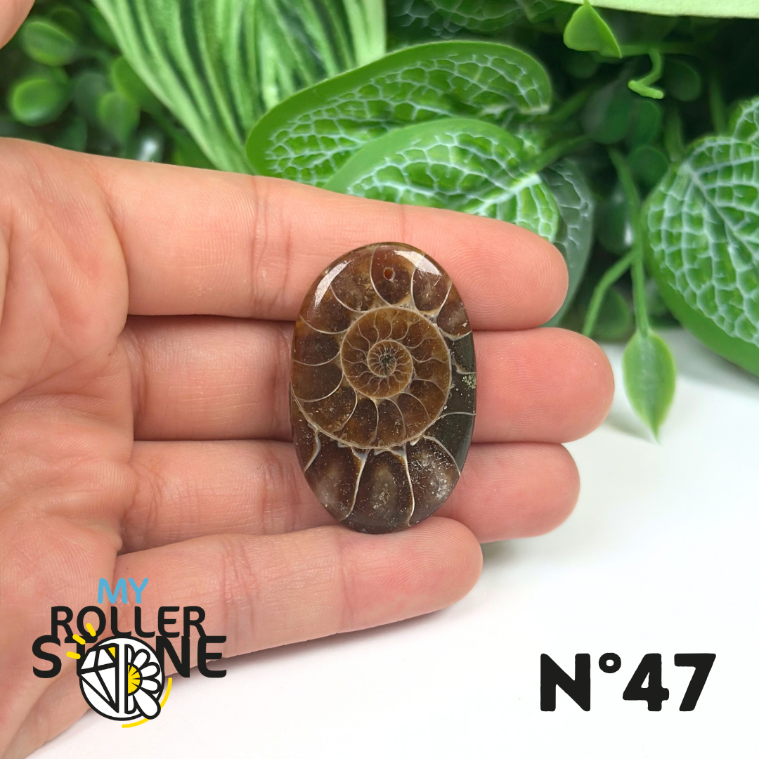 Pendentif Ammonite Percé