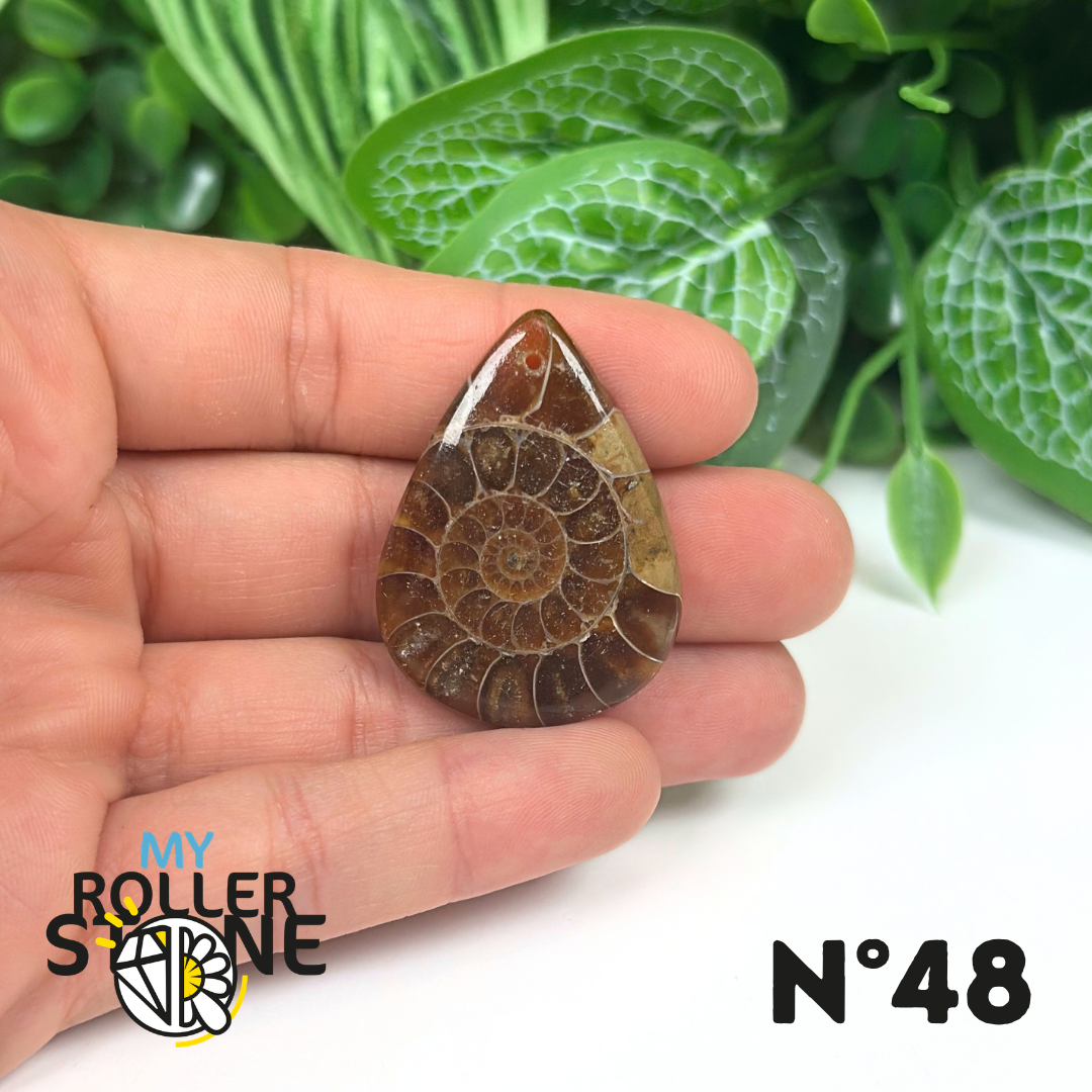 Pendentif Ammonite Percé