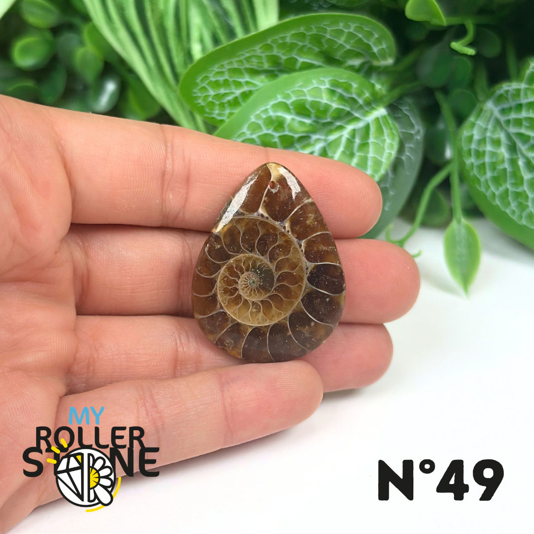 Pendentif Ammonite Percé