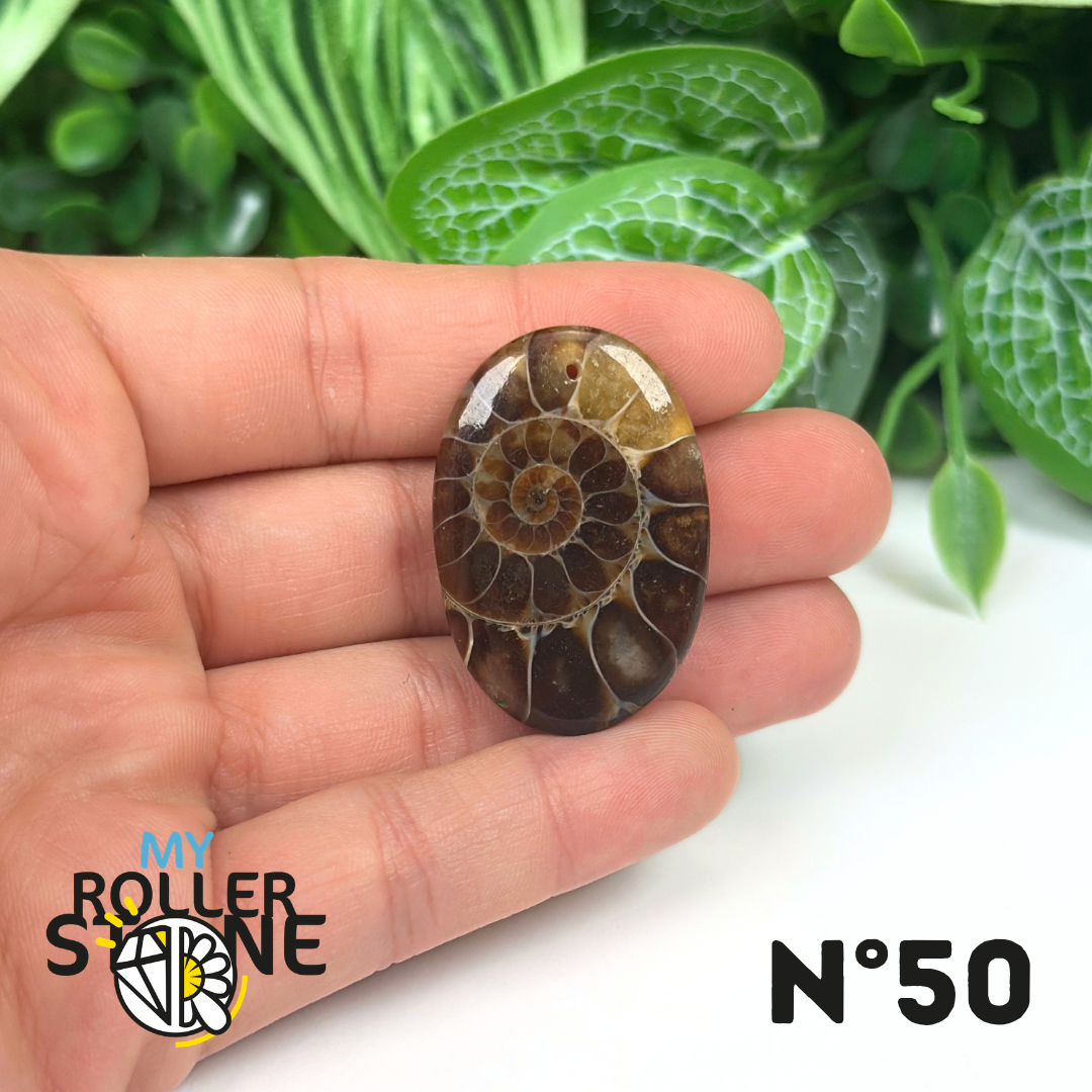 Pendentif Ammonite Percé