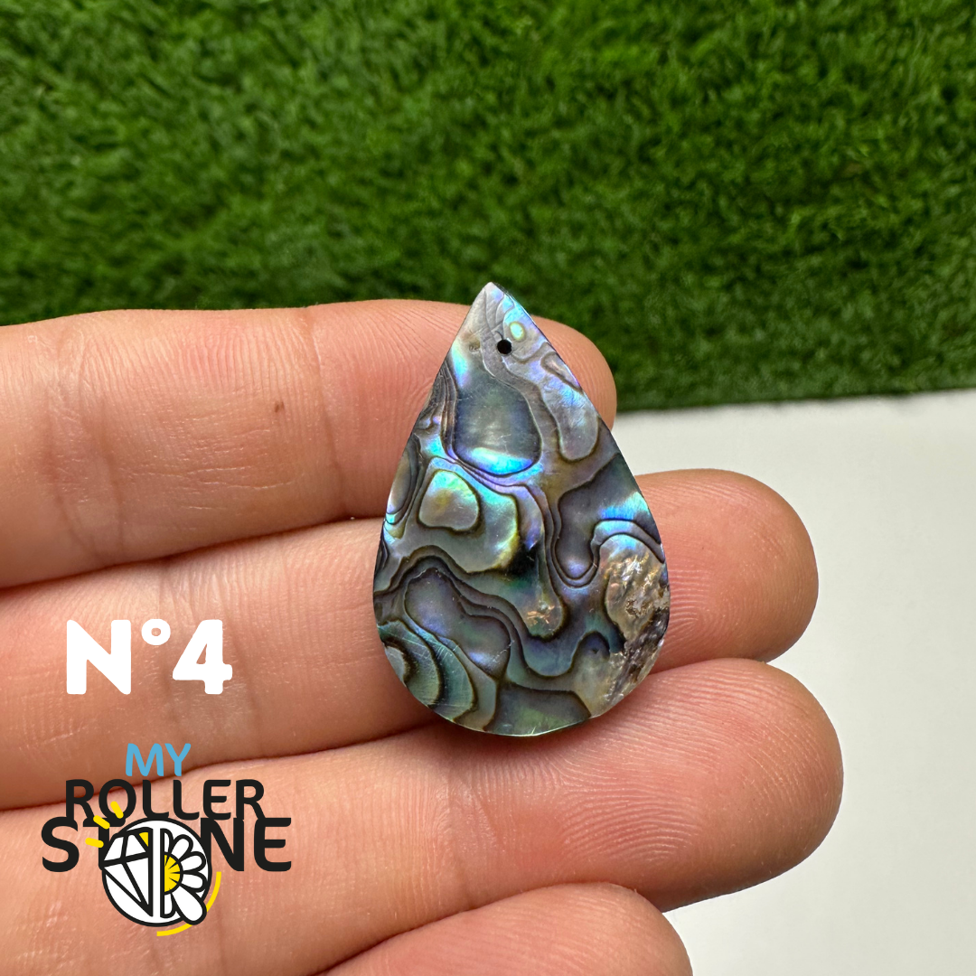 Pendentifs en Abalone Forme Libre 5A