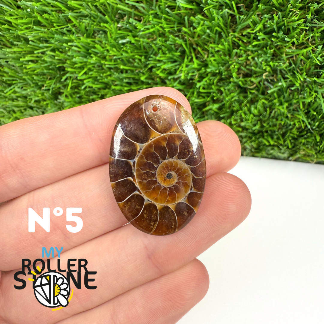 Pendentif Ammonite 5A Percé