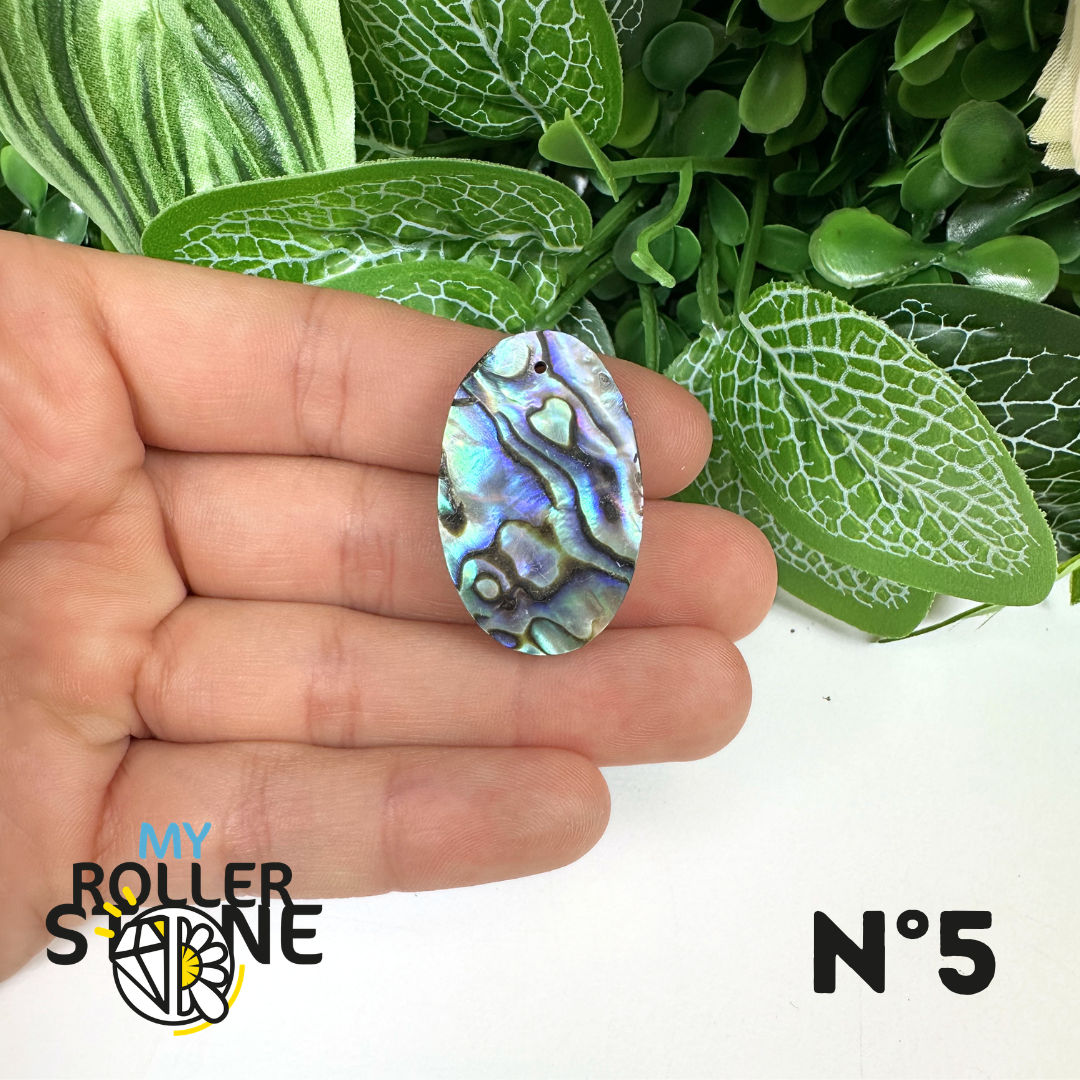 Pendentif en Abalone Forme Libre 5A