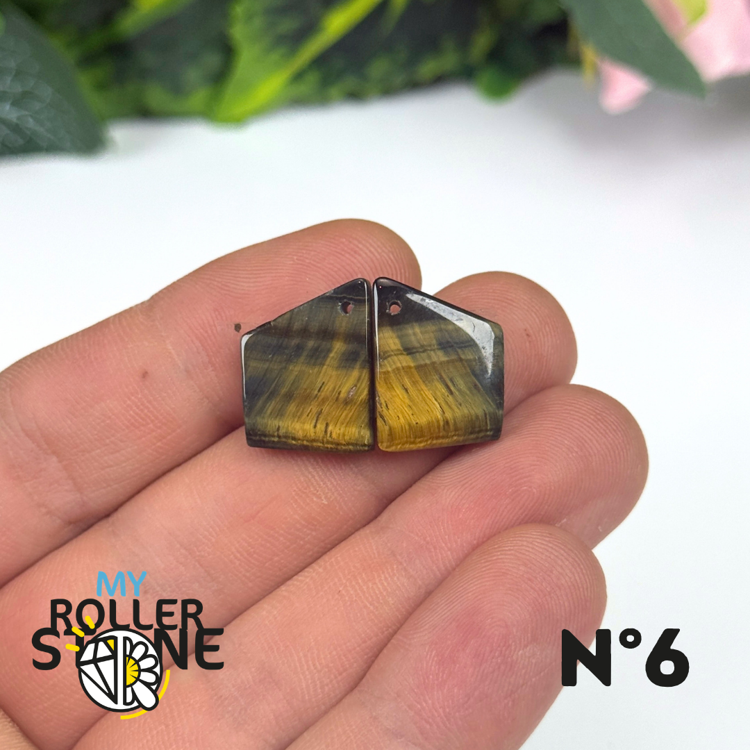 Paire de Cabochon percé en Oeil de Faucon pour Boucles d'oreilles